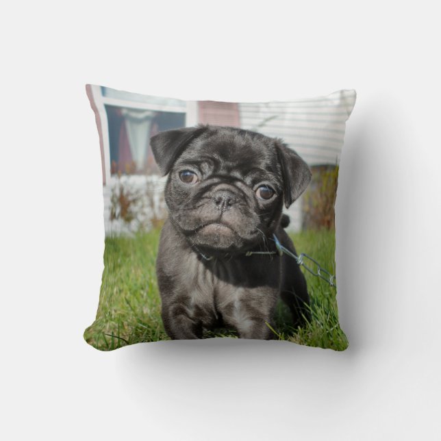 Almofada Filhote de pug preto (Frente)