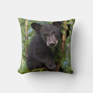 Almofada Filhote de Urso Negro Brincando em Árvores