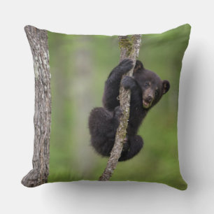 Almofada Filhote de urso preto brincando, Tennessee