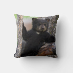Almofada Filhote de Ursos Negros Relaxando
