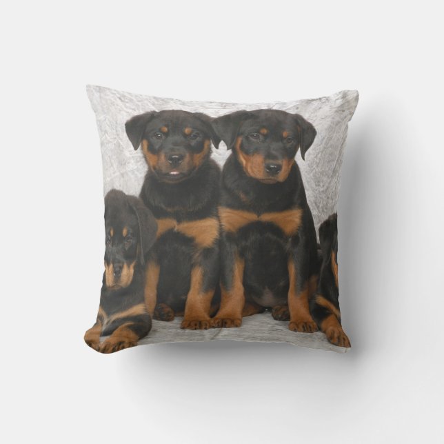 Almofada Filhotes de cachorro de Rottweiler (Frente)