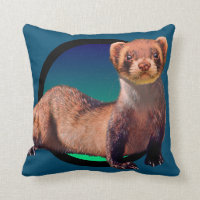 Fine Ferret