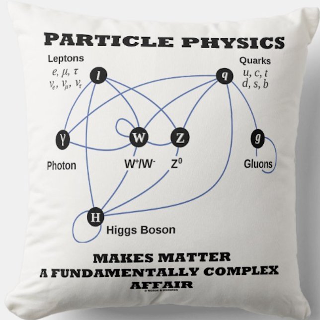 Almofada Física De Partículas Faz Da Matéria Um Fundamento (No need to be a particle physicist to enjoy this Standard Model of the Higgs Field throw pillow!)