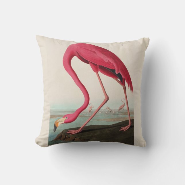 Almofada Flamingo Americano Rosa Audubon, Placa CCCCXXXI (Frente)
