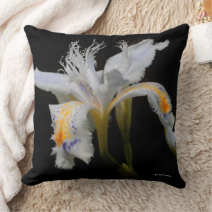 Almofada Flor Atormentado, Detido Iris Japonica Flor