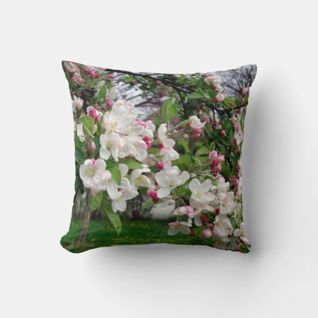 Almofada Flor da árvore de maçã do primavera de Europa (Frente)