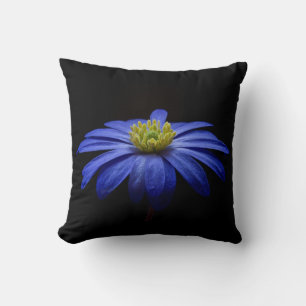 Almofada Flor de Gerbera Daisy Azul em um fundo Preto