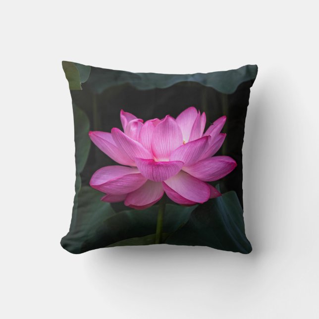 Almofada Flor de Lotus (Frente)