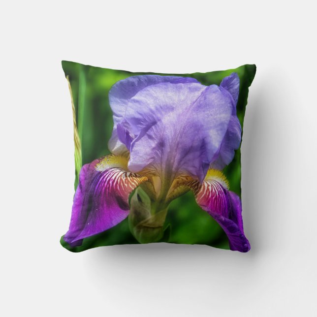 Almofada Flor violeta púrpura azul e amarelo da íris (Frente)