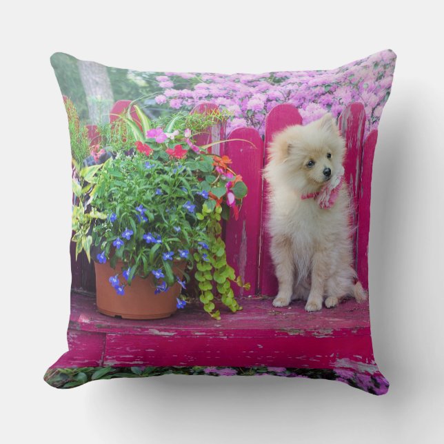 Almofada Floral Fluffy Pomeranian Puppy Rustic Garden (Frente)