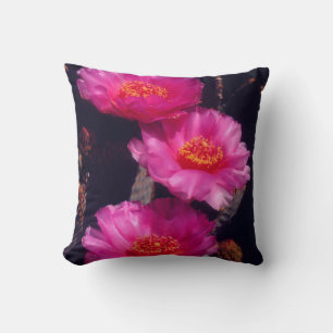 Almofada Flores de Cactus Beavertail 2