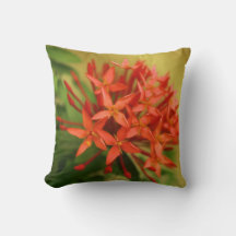 flores de primavera, páscoa, primavera, natureza, 