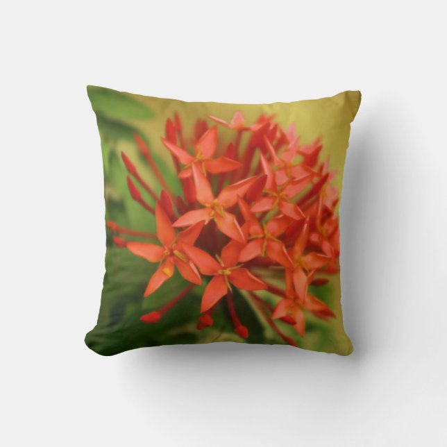 Almofada flores de primavera, páscoa, primavera, natureza,  (Frente)