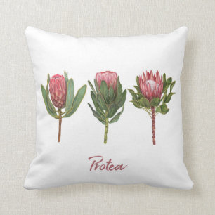 Almofada Flores De Proteínas