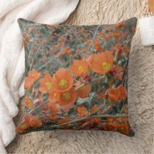 Flores De Sangue Do Deserto Laranja Globemallow