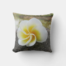 Flores, insetos, japonês, asiático, chinês, velho