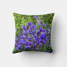 Flores Roxas Iris Pela Sidewalk