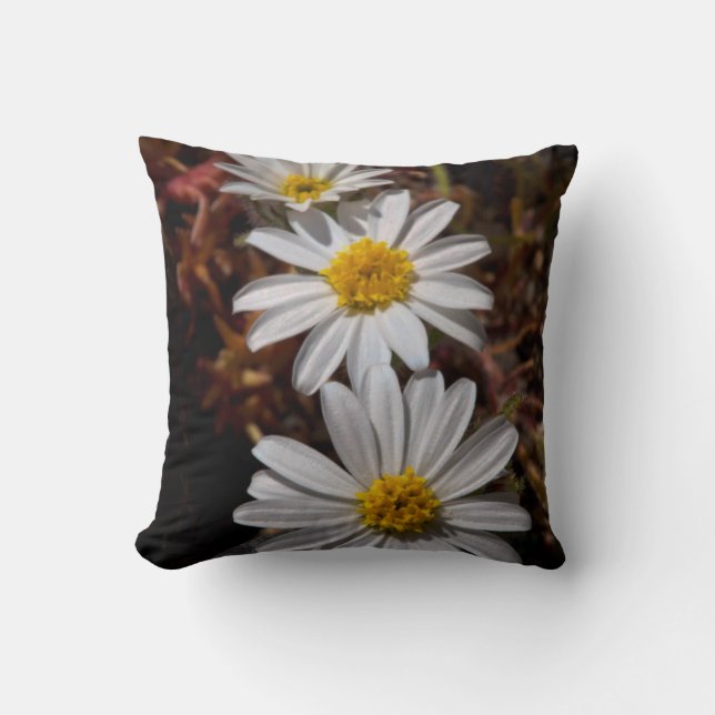 Almofada Flores Silvestres Desert Star (Frente)