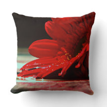 Flores vermelhas do Gerbera da margarida