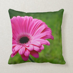 Almofada Florescência fúcsia da margarida do Gerbera