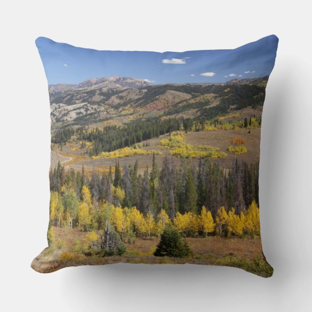 Almofada Floresta Nacional Bridger-Teton (Frente)