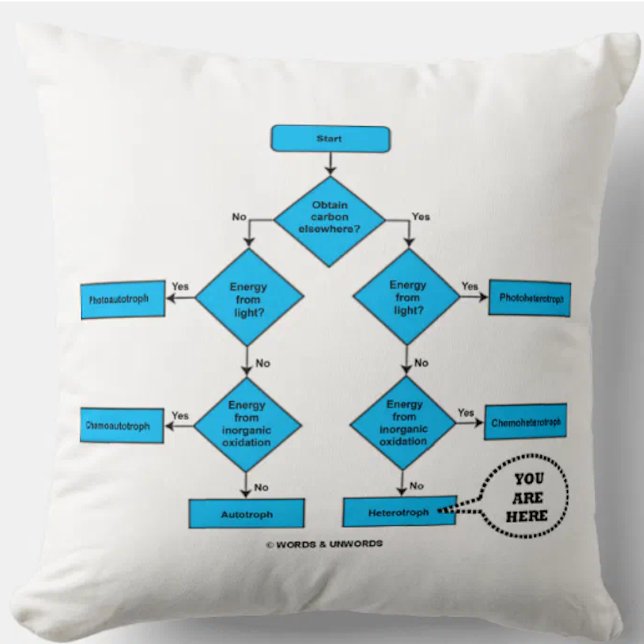 Almofada Fluxograma Heterotroph Você Está Aqui Humor Biológ (Showcase your wry ecological side with this throw pillow featuring Heterotroph w/ You Are Here)
