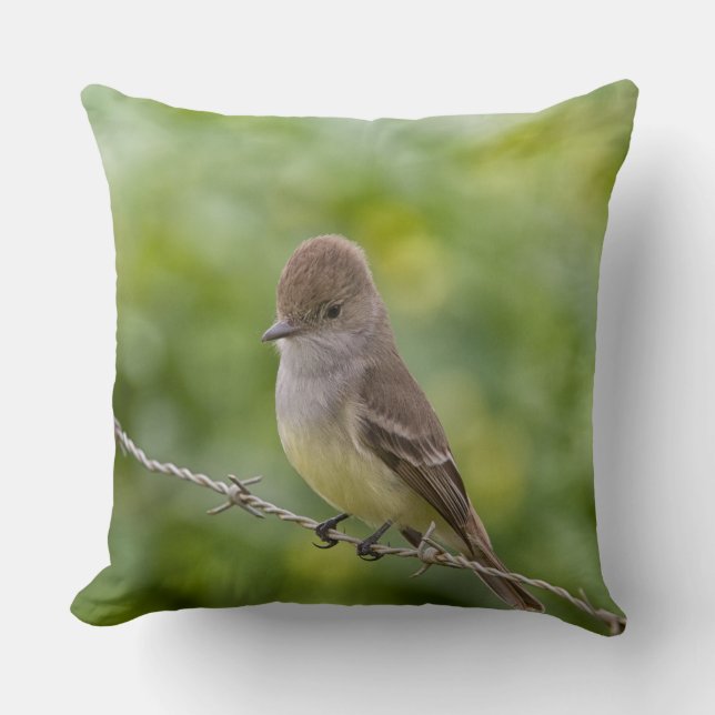 Almofada Flycatcher (Frente)