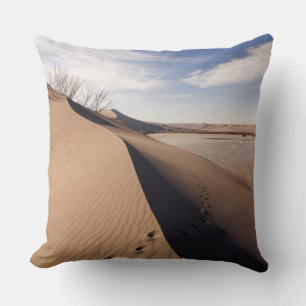 Almofada Formações de dunas de areia. Parque Estadual das D