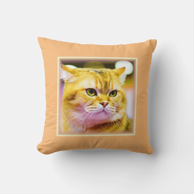 Almofada Foto bonita de um gato bonito. Compre agora (Frente)