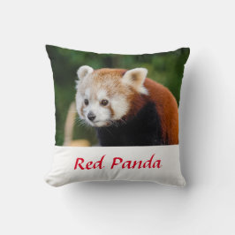 Almofada Foto da Natureza de Panda Vermelho Selvagem
