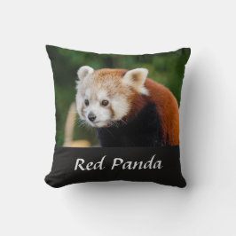 Almofada Foto da Natureza do Panda Vermelho Selvagem