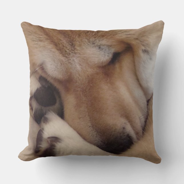 Almofada foto de afago adormecida do original das patas do (Frente)