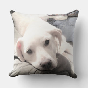 Almofada Foto de Cão Branco Preguiçoso e Bonito Saindo co