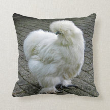 Foto de frango branco Silkie