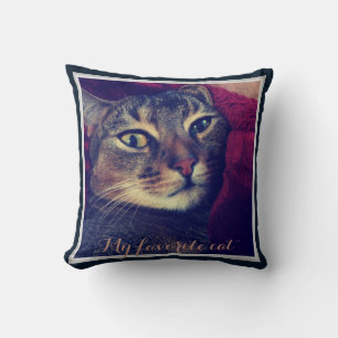 Almofada Foto de gato, gato, animais de estimação, gato eng