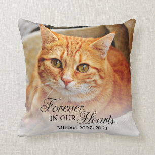 Almofada Foto de Gato Memorial Para Sempre em Nossos Coraçõ
