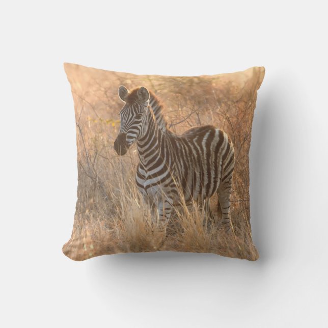 Almofada Foto do dia de sol de Zebra (Frente)