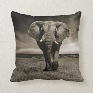 Almofada Foto do Elefante Bull Wildlife