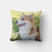 Foto e Nome Personalizados de Cachorro de Estimaçã