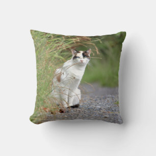 Almofada Foto: gato, animais. travesseiro decorativo