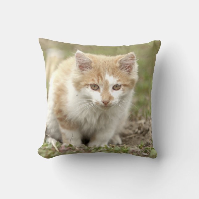 Almofada Foto: gato, animais. travesseiro decorativo (Frente)