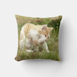 Almofada Foto: gato, animais. travesseiro decorativo