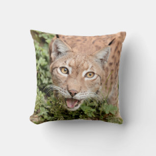 Almofada Foto lince, gato, animais. travesseiro decorativo