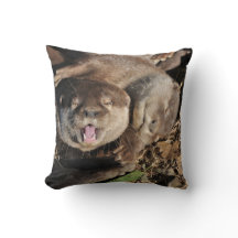 Foto sonolento das lontras