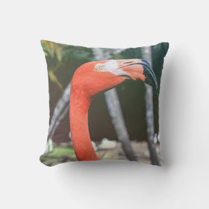 Almofada Fotografia aproximada de pássaro vermelho-de-pesc