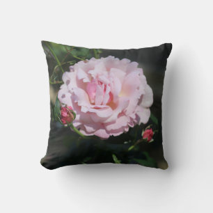 Almofada Fotografia Clássica de Rosa Rosa Bonita Natureza