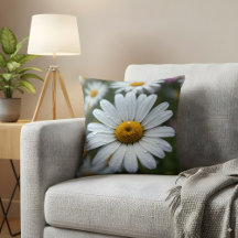 Fotografia da Natureza de Fechamento da Daisy Whit