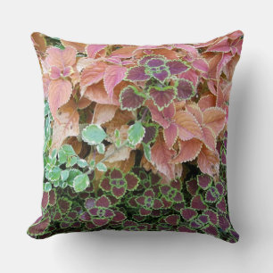 Almofada Fotografia de Coleus Arco-Íris Coloridos