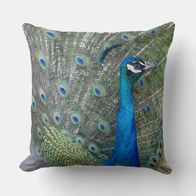 Almofada Fotografia de Peacock (Frente)
