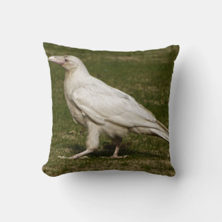 Almofada Fotografia Rare White Raven Wildlife
